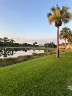 Listing# 141 Property Photo